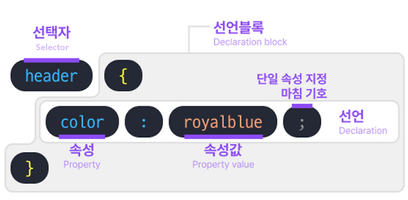 [CSS] 24.01.30 CSS 기본