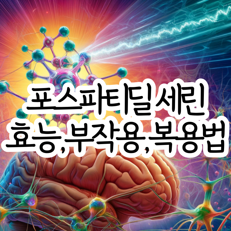포스파티딜 세린 분말 가루 효능, 부작용