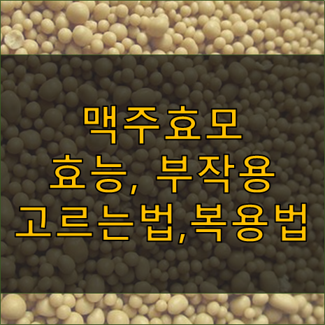 맥주 효모 효능, 부작용, 고르는 법, 먹는 법 - 샴푸는 탈모에 효과 (feat. 가루, 환, 비오틴)