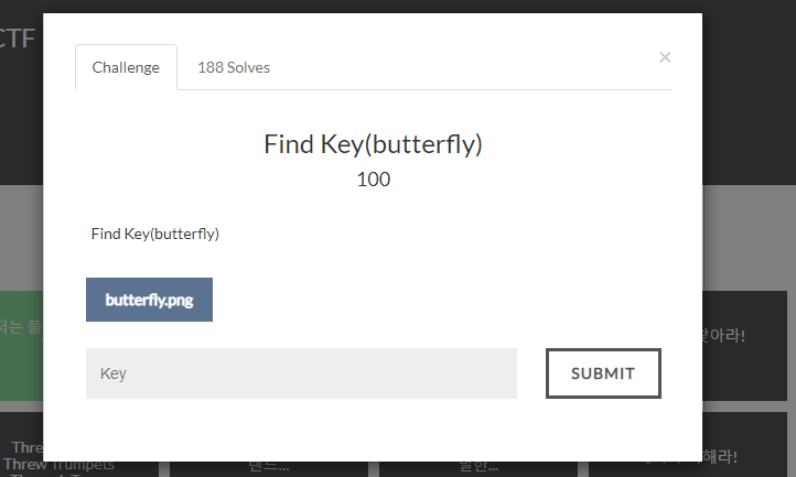 ctf-d Find Key(butterfly)