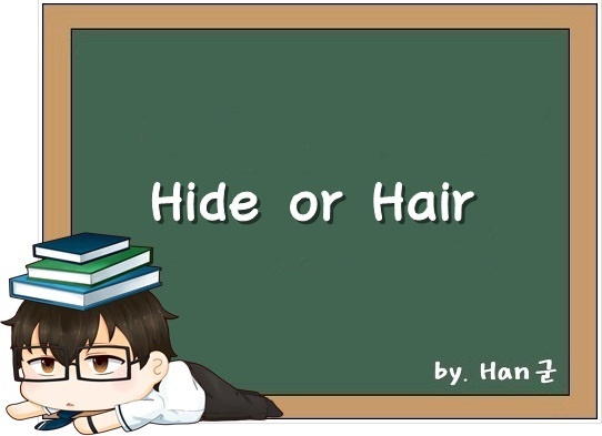 hide-or-hair-neither-hide-nor-hair