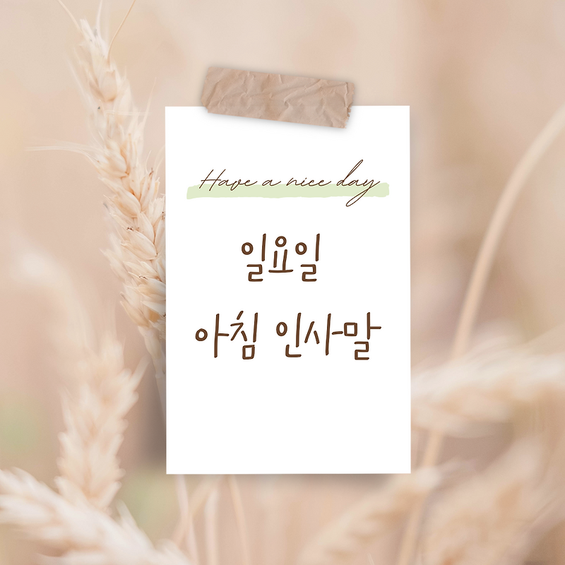 일요일 아침 인사말 이미지 문구 모음집