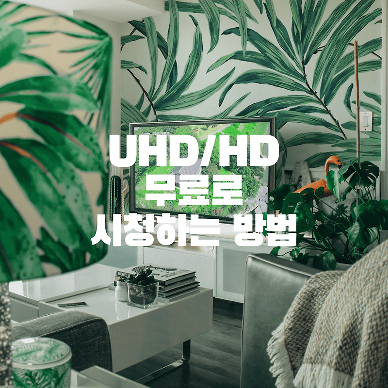 UHD TV 무료로 시청하는 방법 [브리사 디지털 TV 안테나]