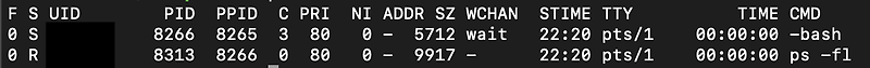 [Linux] ps 명령어 — 묵묵히 걸어가기