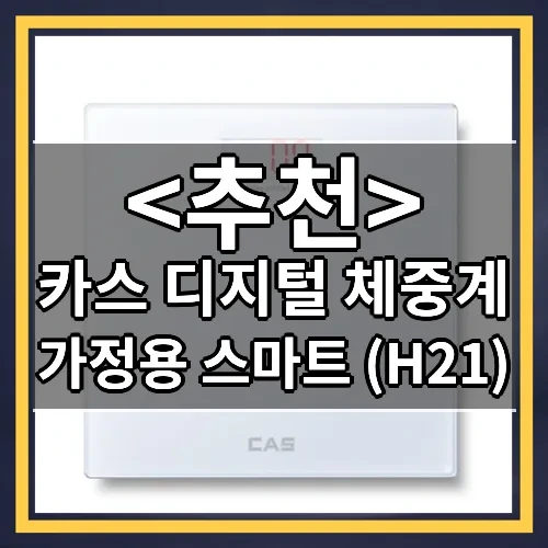 카스 디지털 체중계 추천