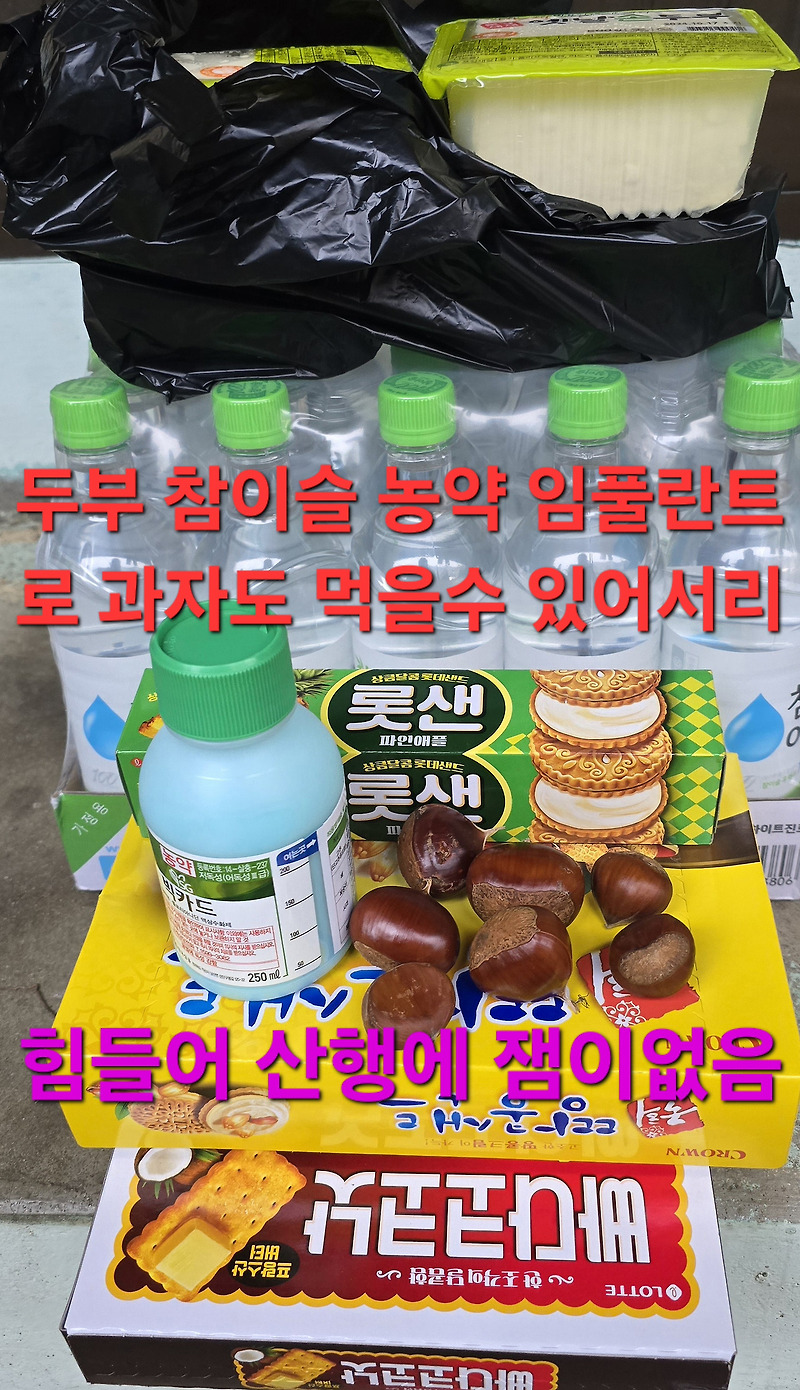 속상함 과음 잠 설치고 답사산행.134