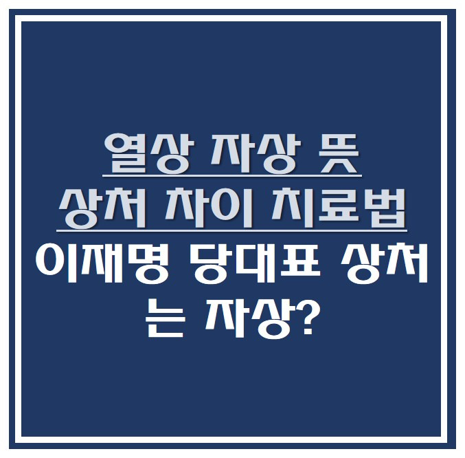열상 자상 뜻 상처 차이 치료법 , 이재명 당대표 상처는 자상?