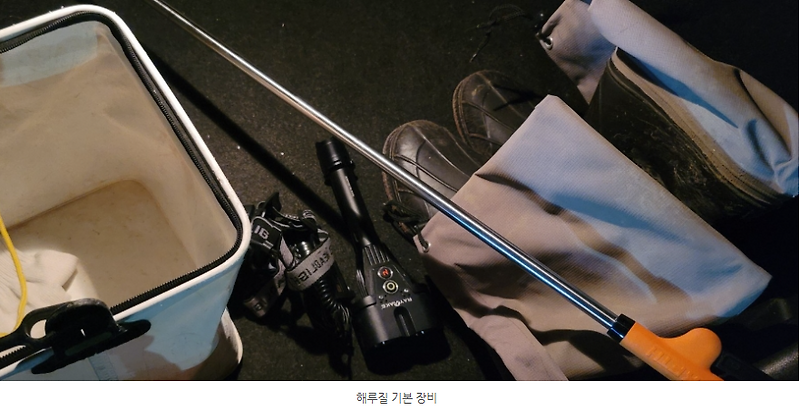 해루질 물때상식 2 - 바다타임으로 물때 확인하는 방법