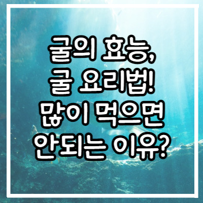 굴의 효능과 굴 요리법! 너무 많이 먹으면 안되는 이유는?