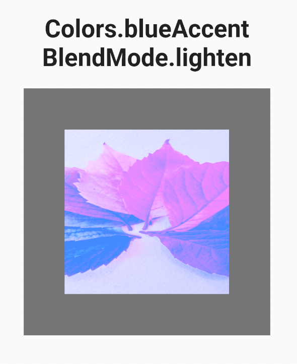  flutter image widget 