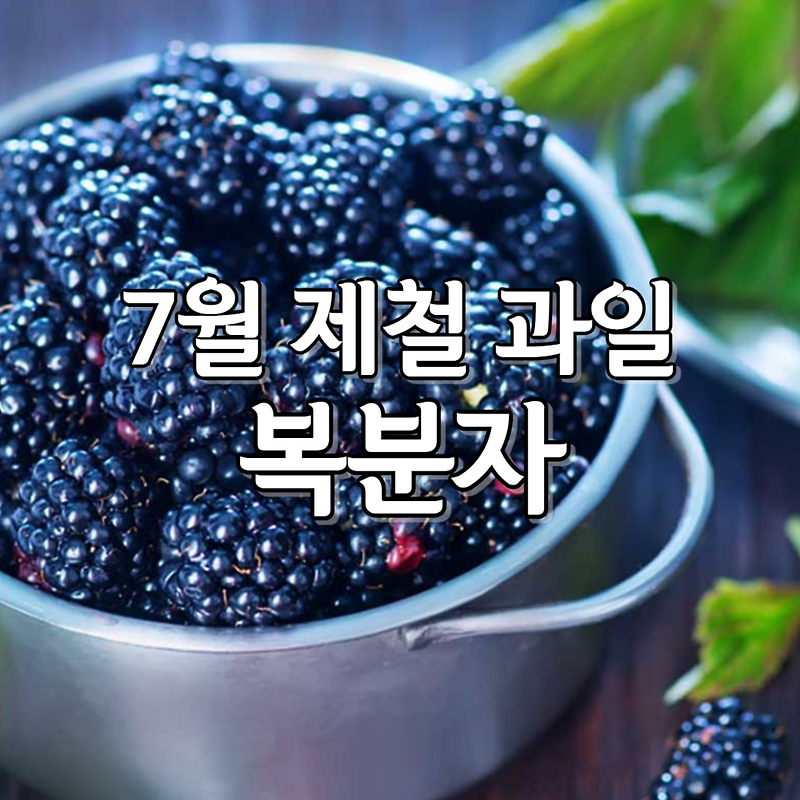 7월 제철 과일 복분자 칼로리 효능 요리 보관법
