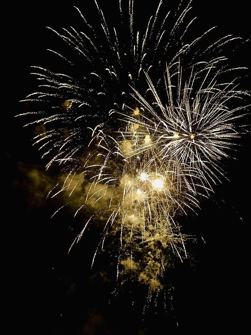 [불꽃 드론쇼] 일산 고양호수예술축제 (주차꿀팁 명당자리)