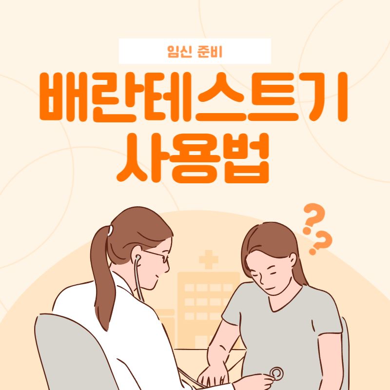 임신 배란테스트기의 사용 방법│임신 확인│임신 성공 후기 배란초음파 3080