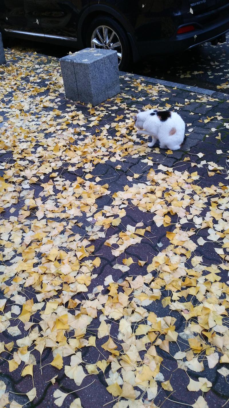 승부욕이 너무 강한 아이