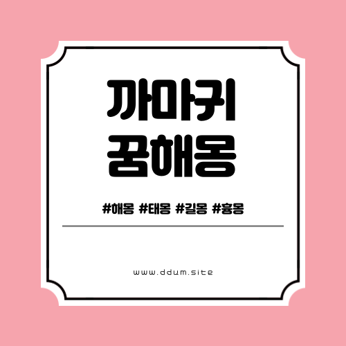 까마귀 꿈해몽 26가지 모음