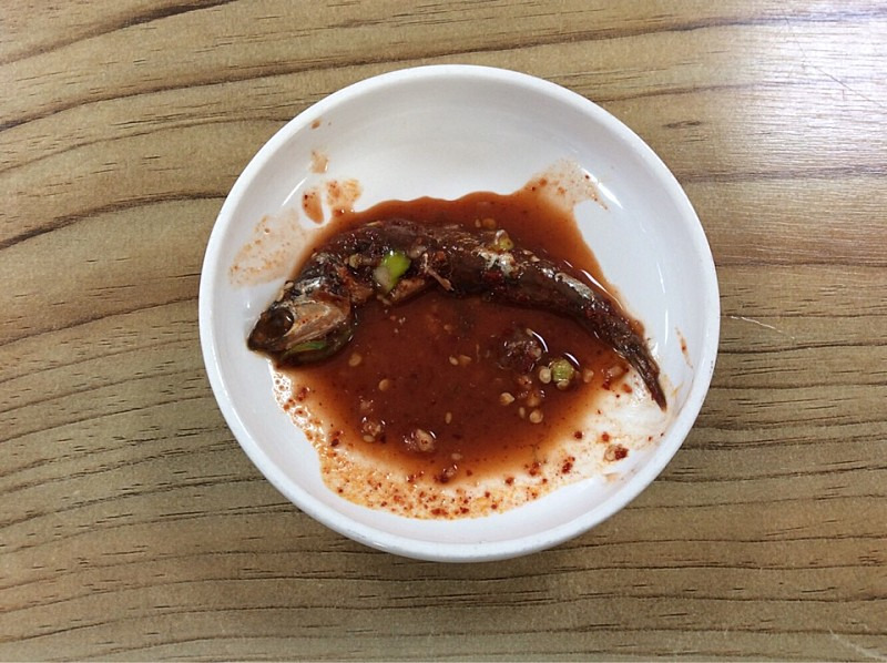 청양고추 멸치젓 파무침 14