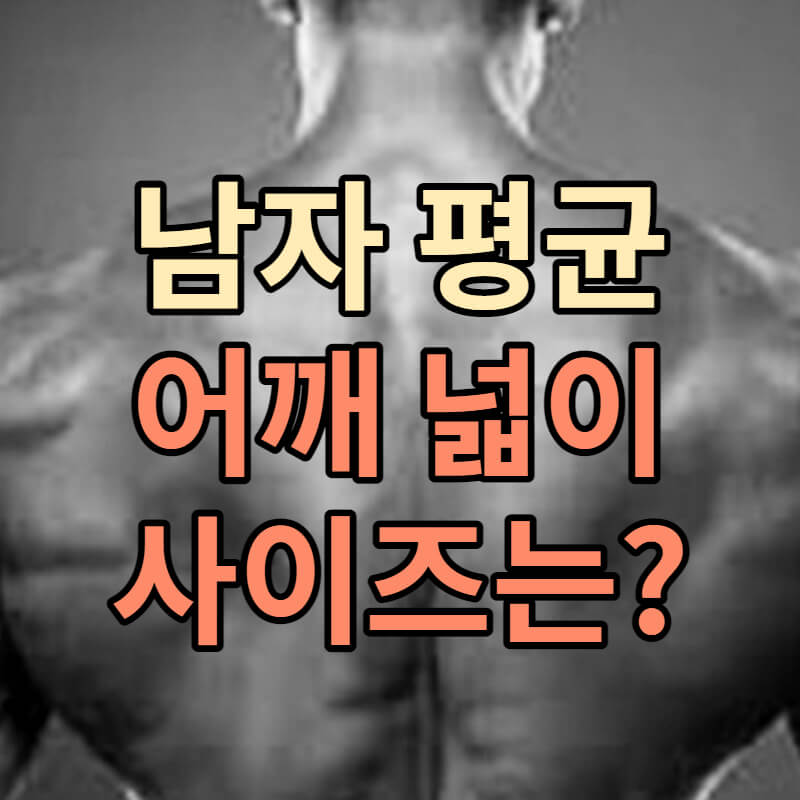 남자 평균 어깨 넓이 사이즈는? (측정방법, 추천운동)