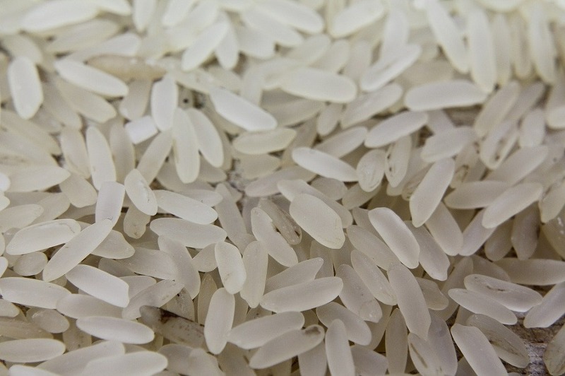 쌀벌레 없애는 법 - 쌀벌레 정체, 쌀벌레 생긴 쌀 먹어도 될까?