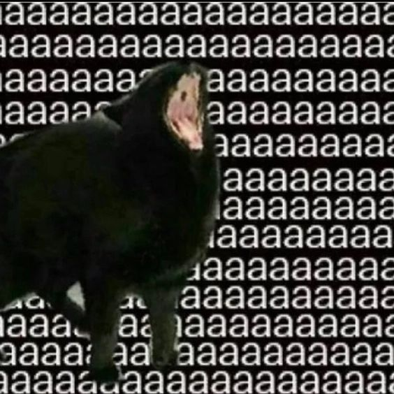 아아아아아아아아아아아