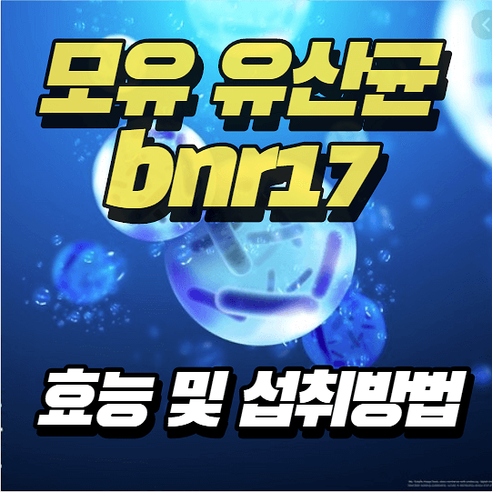 모유유산균 BNR17 추천 락토바실러스 유산균 효능