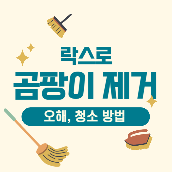 여름철 락스로 곰팡이 제거하는 방법과 락스에 대한 오해