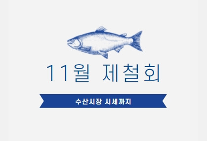 11월 제철 회, 수산시장 시세까지 알아 볼까요?