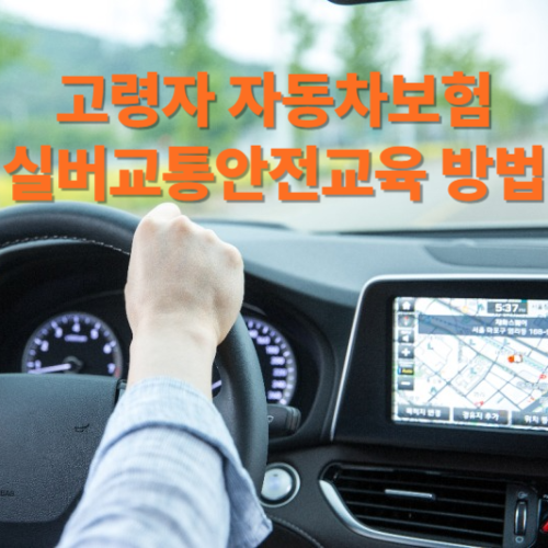 고령자 자동차보험, 실버교통안전교육 방법