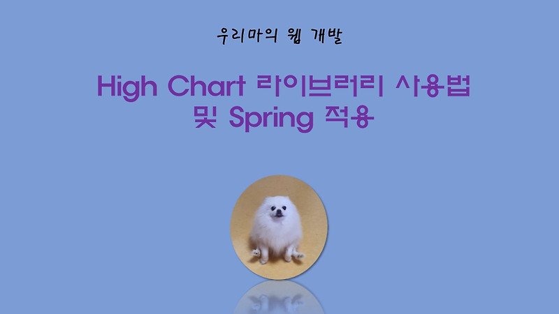 [Graph Lib] High Chart 라이브러리 사용법 및 Spring 적용