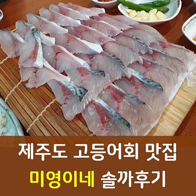 제주도 모슬포항 고등어회 맛집 '미영이네식당' 솔까후기