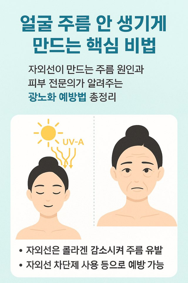 얼굴 주름 안 생기게 만드는 핵심 비법, 자외선이 만드는 주름 원인과 피부 전문의가 알려주는 광노화 예방법 총정리