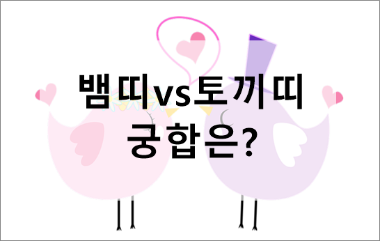 재미로보는 뱀띠 vs 토끼띠 궁합