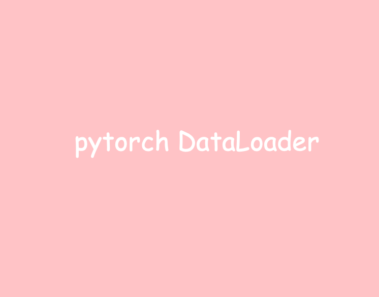  pytorch dataloader 