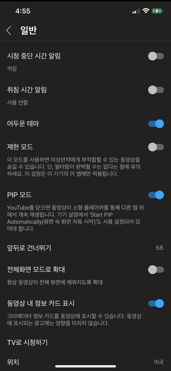 IOS, IPadOS 유튜브 PIP모드 설정하기