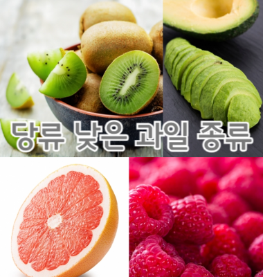 당류 낮은 과일 종류