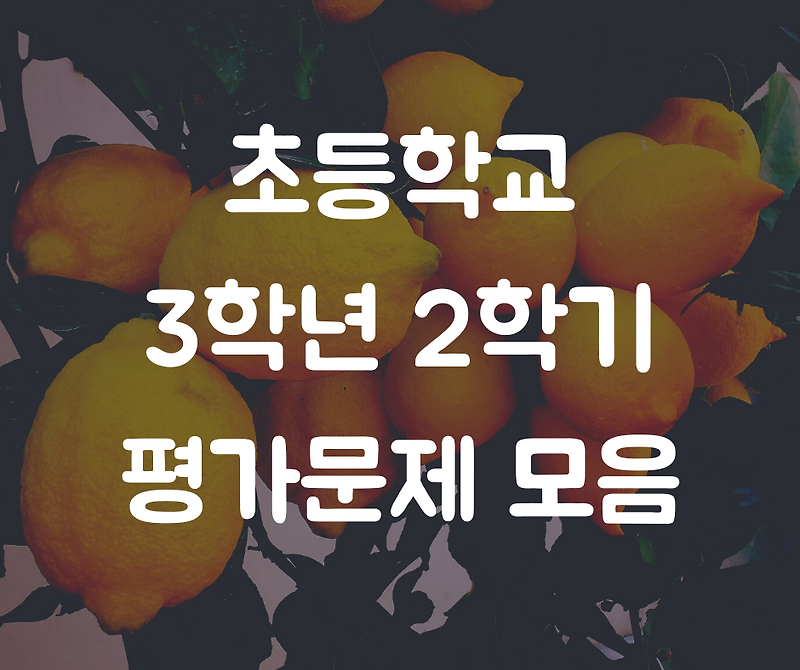 [초등수학] 3학년 2학기  평가문제 모음