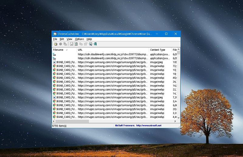 크롬브라우저 캐시 파일 보는 방법