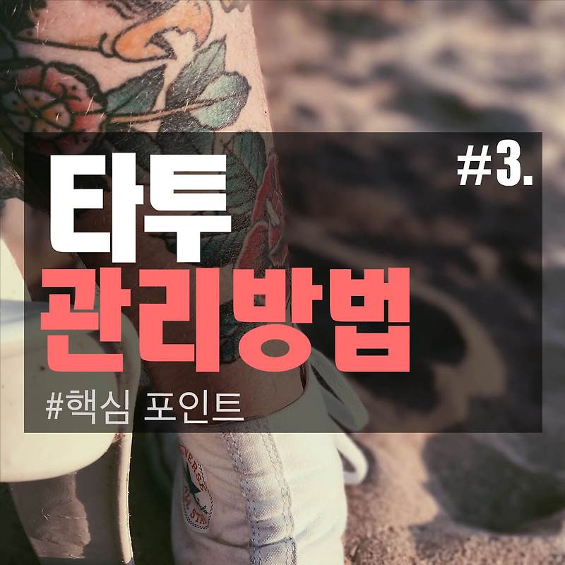 #3. 타투 관리법 - 핵심 포인트