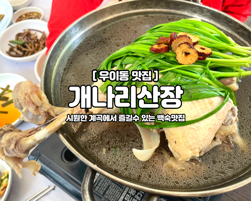 [우이동 맛집] 능이백숙, 우이동계곡 개나리산장