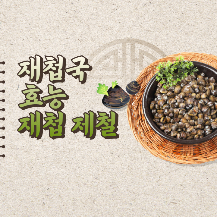 재첩국 효능 재첩 제철 알아보기