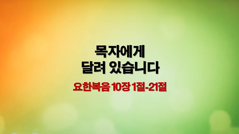 요한복음 10장 1절-21절 목자에게 달려 있습니다 - 매일성경큐티 새벽예배설교