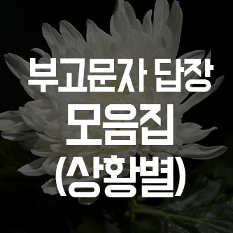 부고문자 답장모음 (상황별, 다양하게)