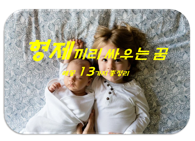 형제끼리 싸우는 꿈 해몽 13가지 총정리 :: 효능, 꿈해몽, 사주팔자, 운세