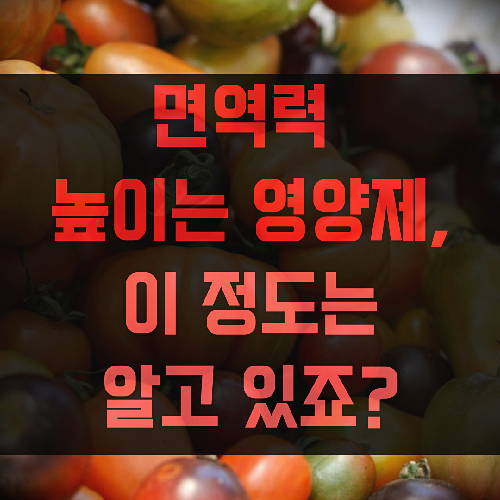 면역력 높이는 영양제, 꼭 먹어야 하는것을 알려드립니다.