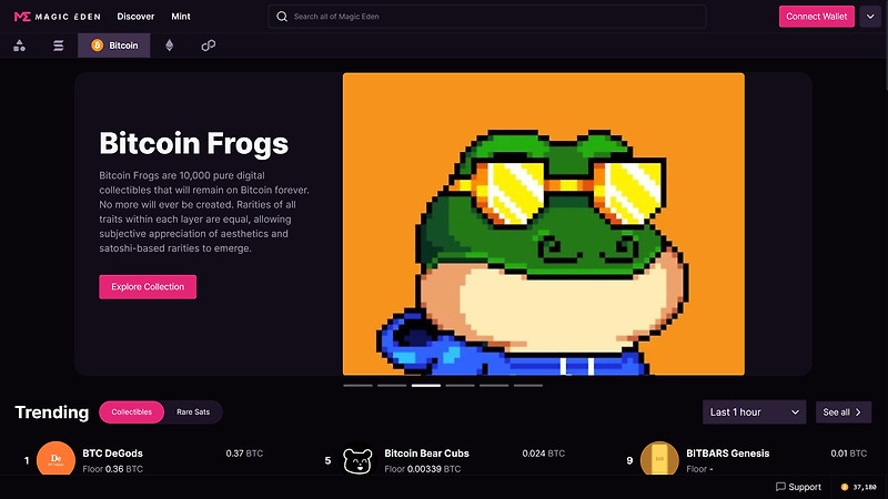 비트코인 오디널스 - 비트코인 프로그 (Bitcoin Frogs) NFT 리뷰 (2)