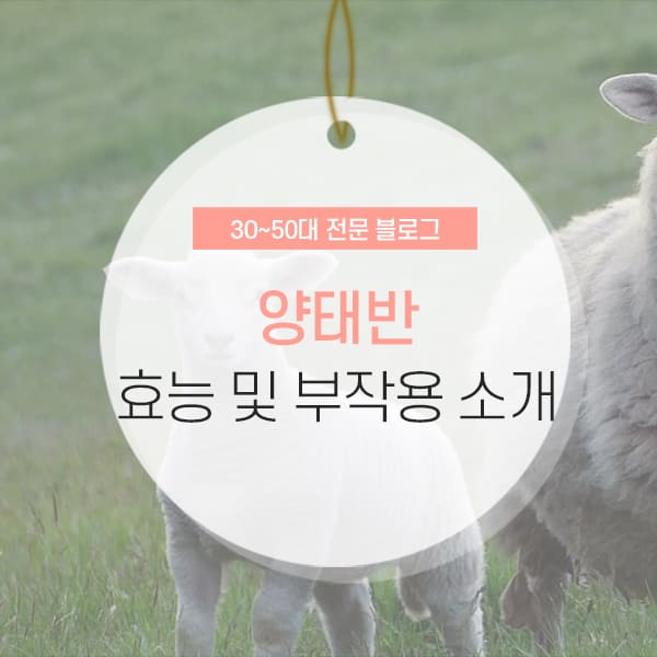 양태반 효능 및 부작용 완벽 정리