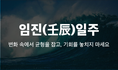 [사주] 2025년 을사년 임진일주의 운세 / 임진일주 신년운세와 조언