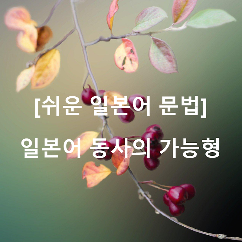 [쉬운 일본어 문법] 일본어 동사의 가능형