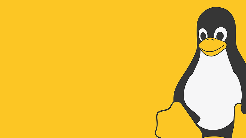 CVE-2021-3156 : Privilege Escalation by Sudo Vulnerability