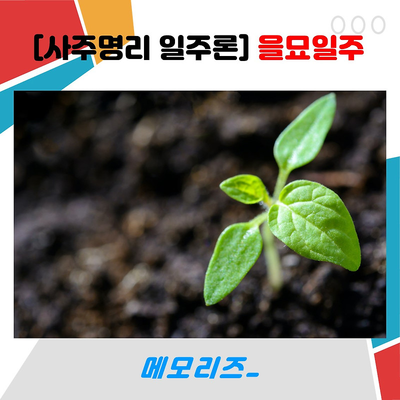 [사주명리 일주론] 을묘일주