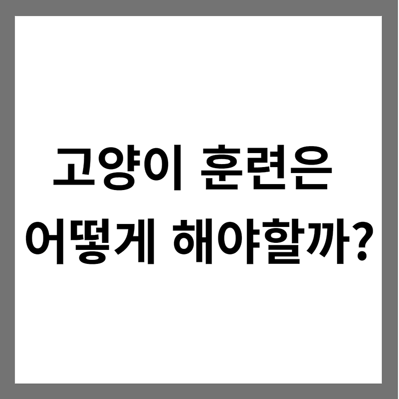 고양이 훈련은 어떻게 해야할까? :: 불타는 양갱의 만물창고